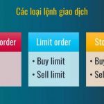 cac-loai-lenh-trong-giao-dich-trading-readtoshare-com